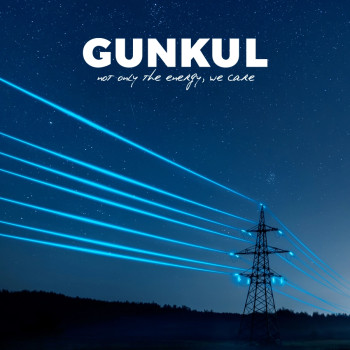 Advanced Search | Gunkul Engineering